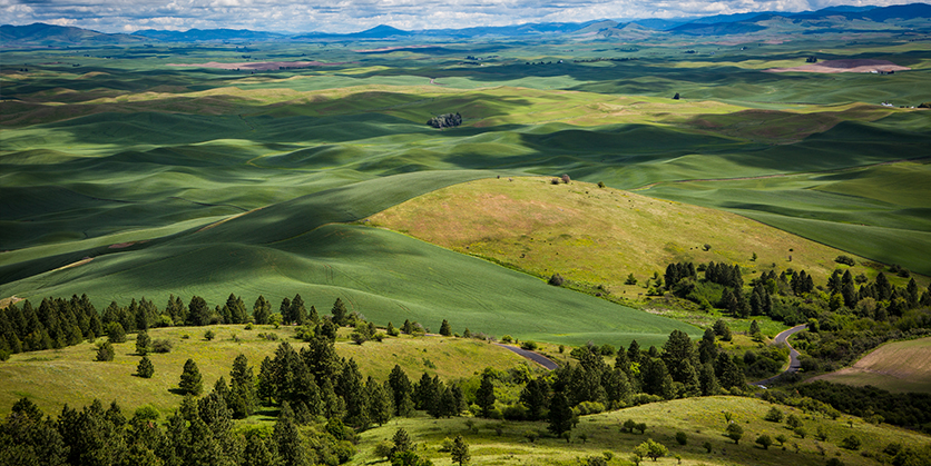 Steptoe Butte in Washington State Park | Avista Connections